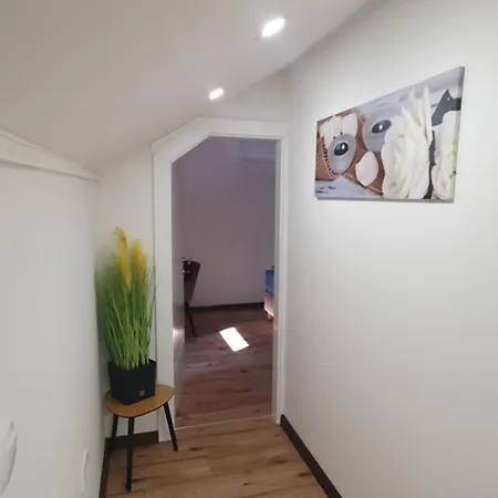 Apartment Terasa